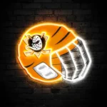 Anaheim Ducks Neon Sign Nhl Hockey Helmet Acrylic Led 1