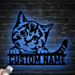 Animals Pets Metal Sign Charming Cat 1
