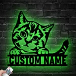 Animals Pets Metal Sign Charming Cat 1