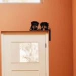 Animals Pets Metal Sign Rottweiler Dog 1