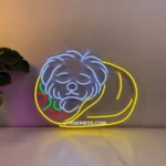 Animals Pets Neon Sign Maltese Burrito Dog 1