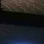 Ballast Point Brewing Neon Sign Co 1