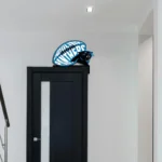 Carolina Panthers Metal Sign Panther Game Day 1