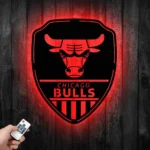 Chicago Bulls Metal Sign Shield Shape 1