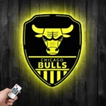 Chicago Bulls Metal Sign Shield Shape 1