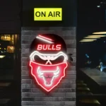 Chicago Bulls Neon Sign Skull 1