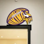 Minnesota Vikings Metal Sign Viking Head Ball 1
