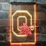 Ohio State Buckeyes Neon Sign Leaf 1