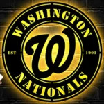 Washington Nationals Metal Sign W Nats Badge 1